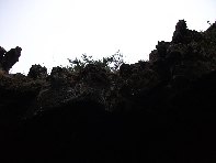 otta Intraleo-20100515 044